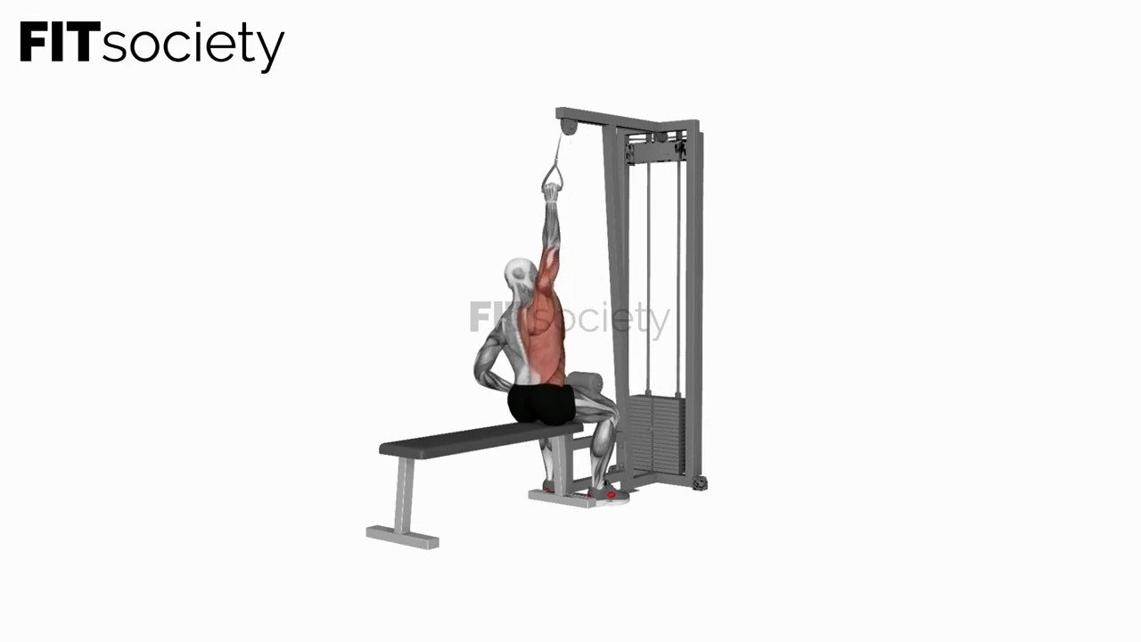 Cable One Arm Lat Pulldown
