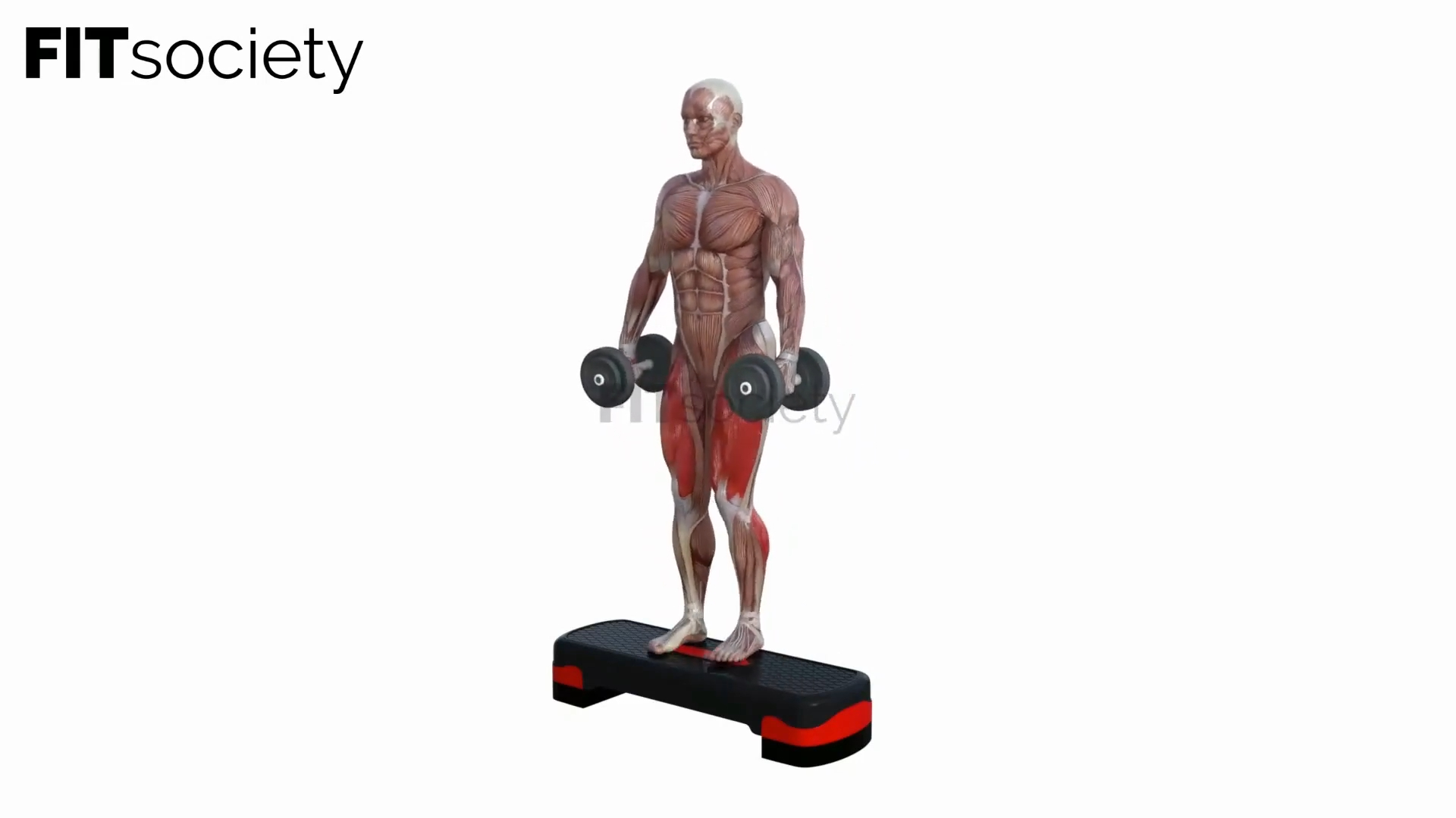 Weighted Aerobic Step