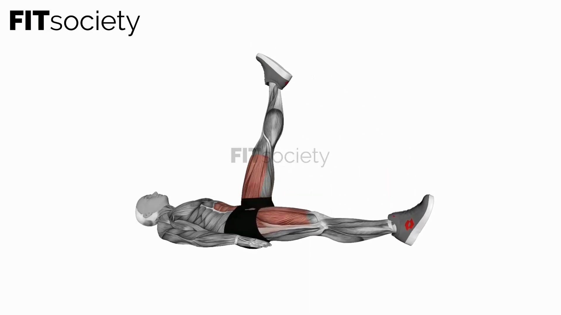 Alternate Leg Raise