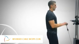 Reversed Cable Biceps Curl