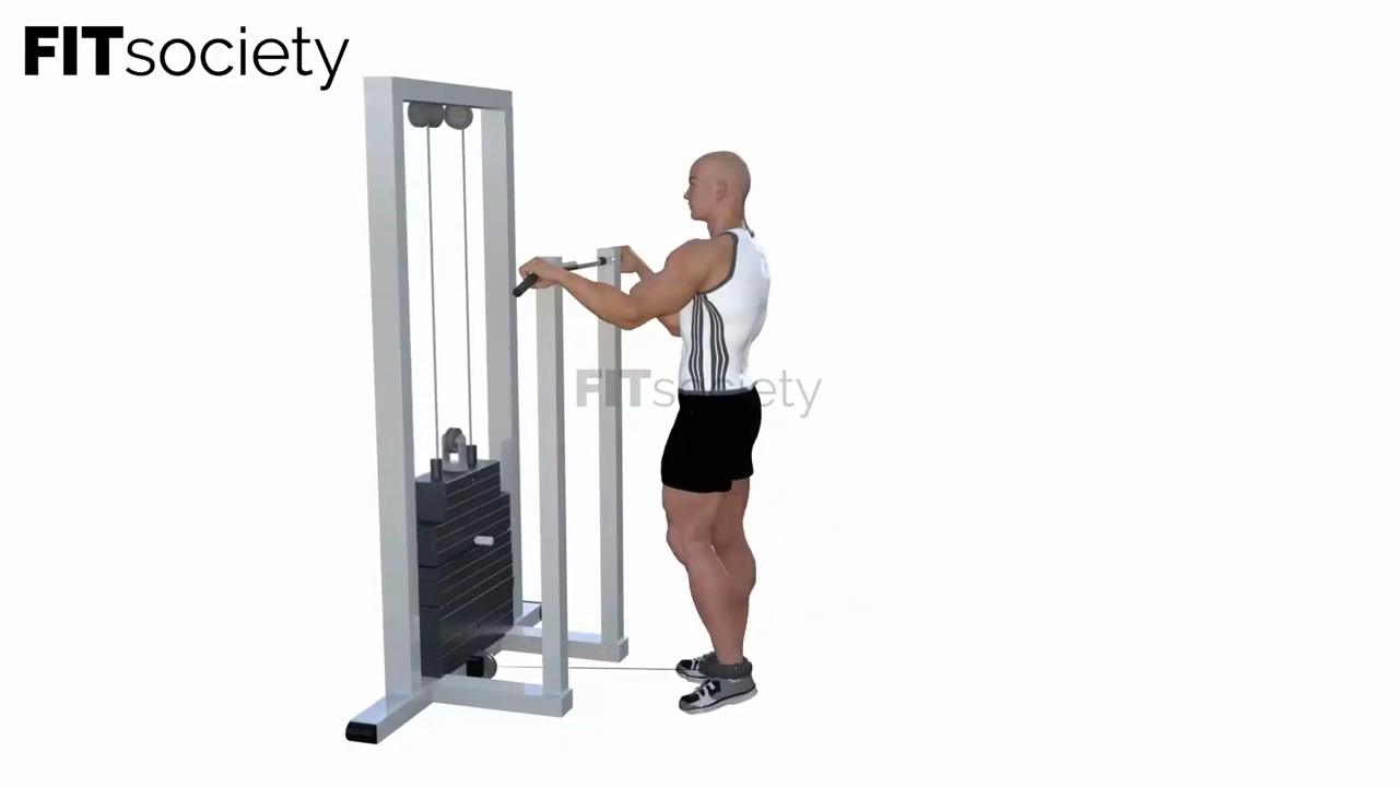Cable Leg Kickback