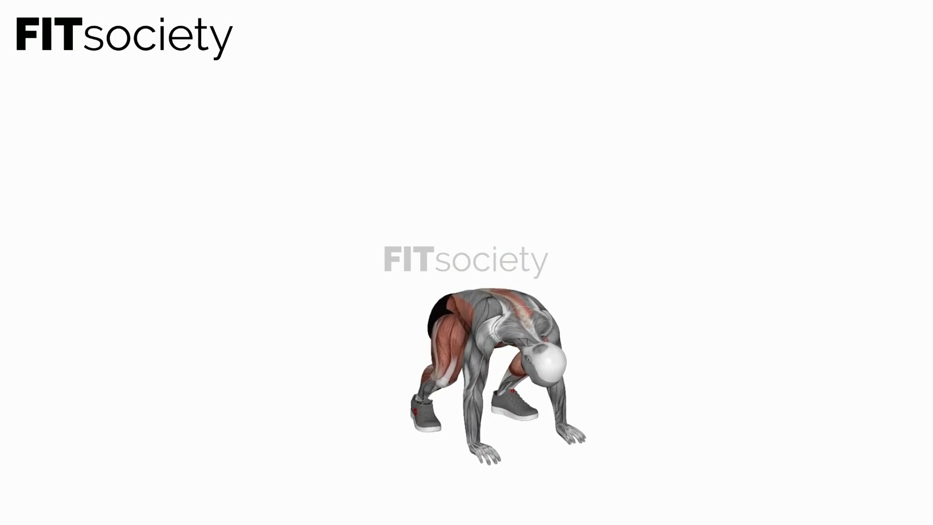 Burpee Squat