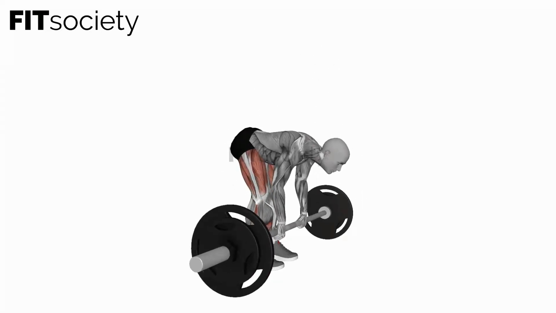 Barbell Straight Leg Deadlift