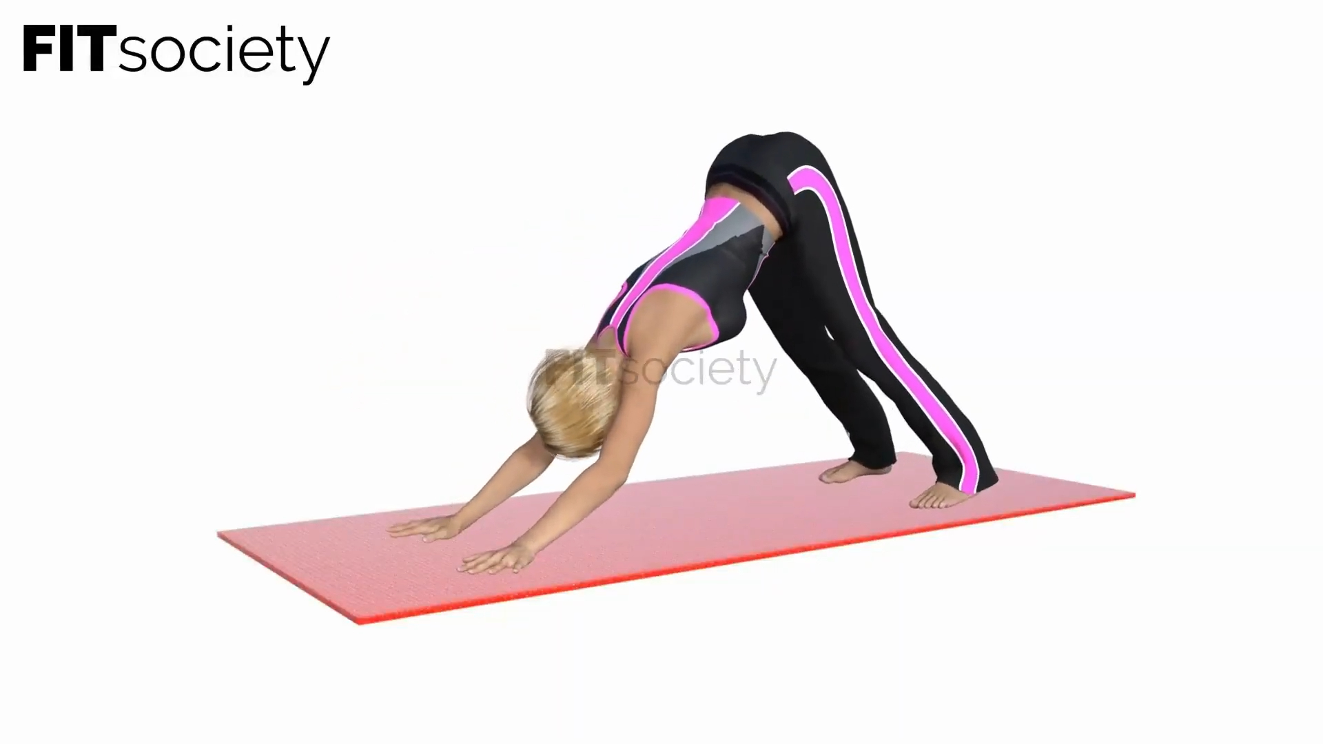 Downward Dog