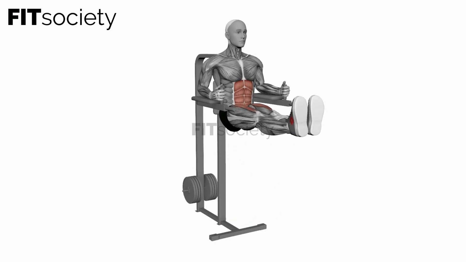 Leg Raises (Straight Legs)