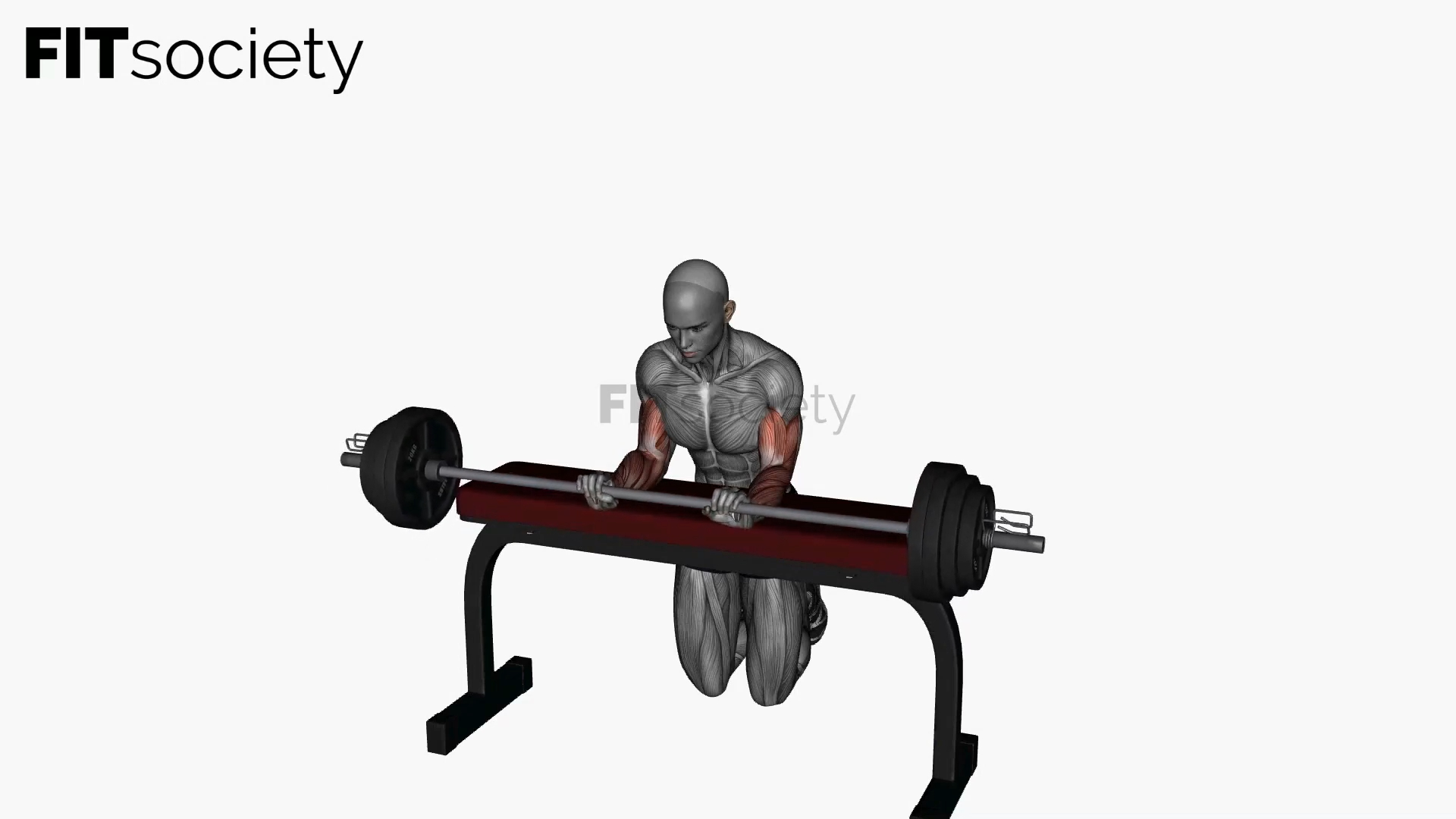 Wrist Extension Barbell