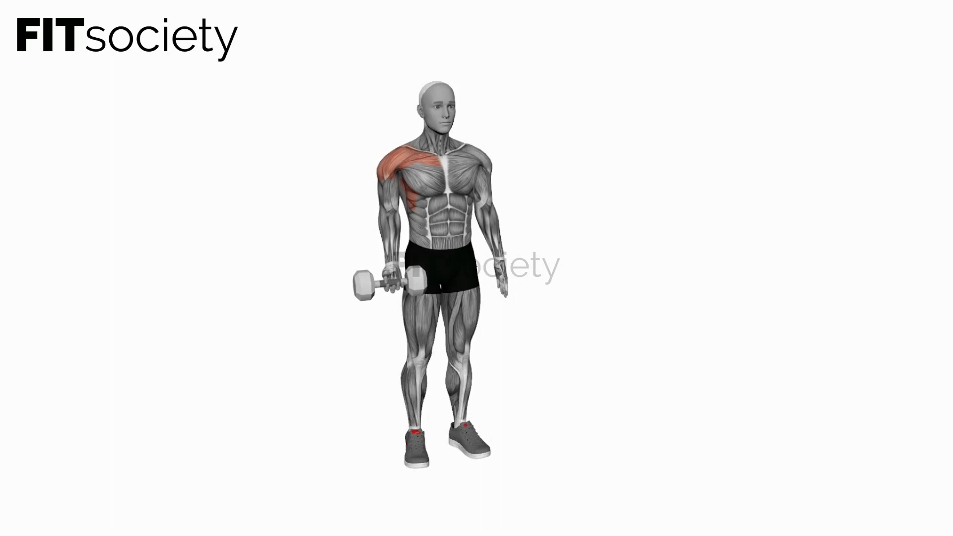 Dumbbell Single Arm Underhand Front Raise