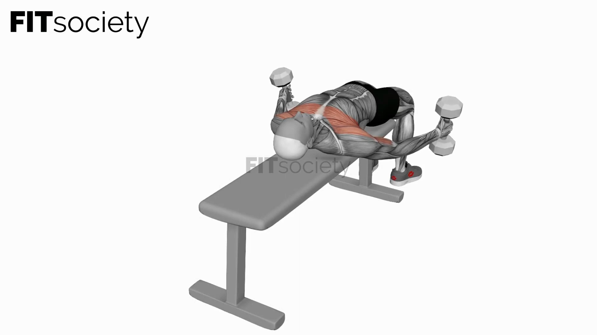 Dumbbell Lying Supine Curl