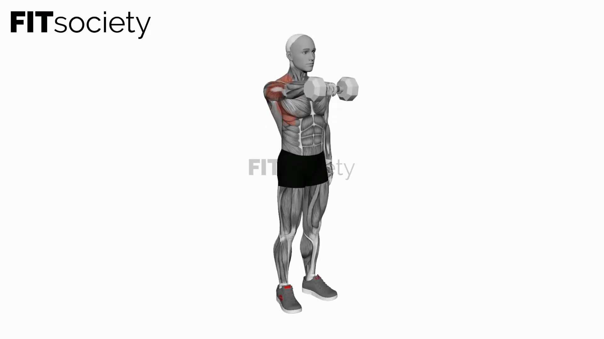 Dumbbell One-Arm Front Raise