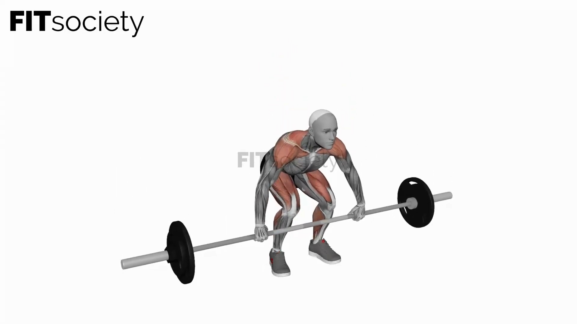 Barbell Snatch Pull