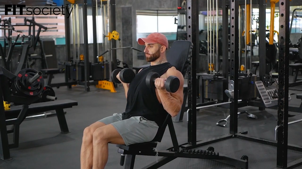 Seated Incline Dumbbell Curls