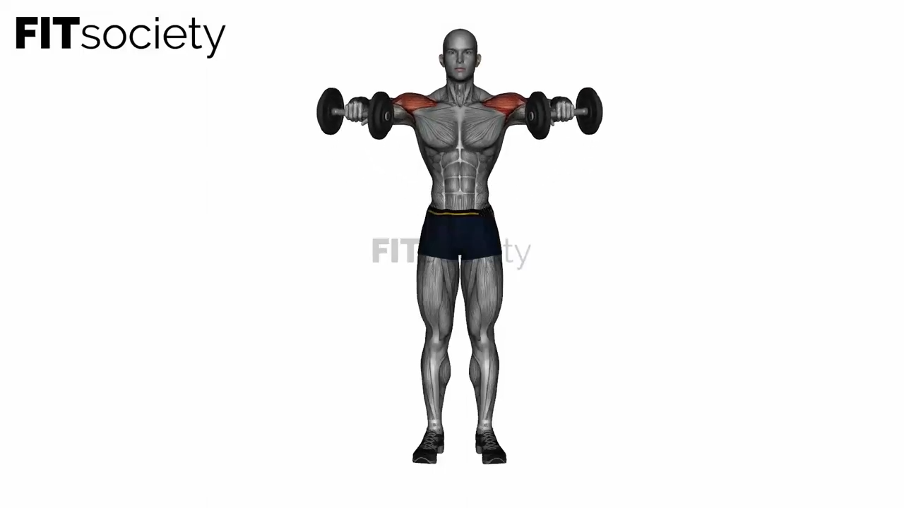 Dumbbell Bent Arm Lateral Raises