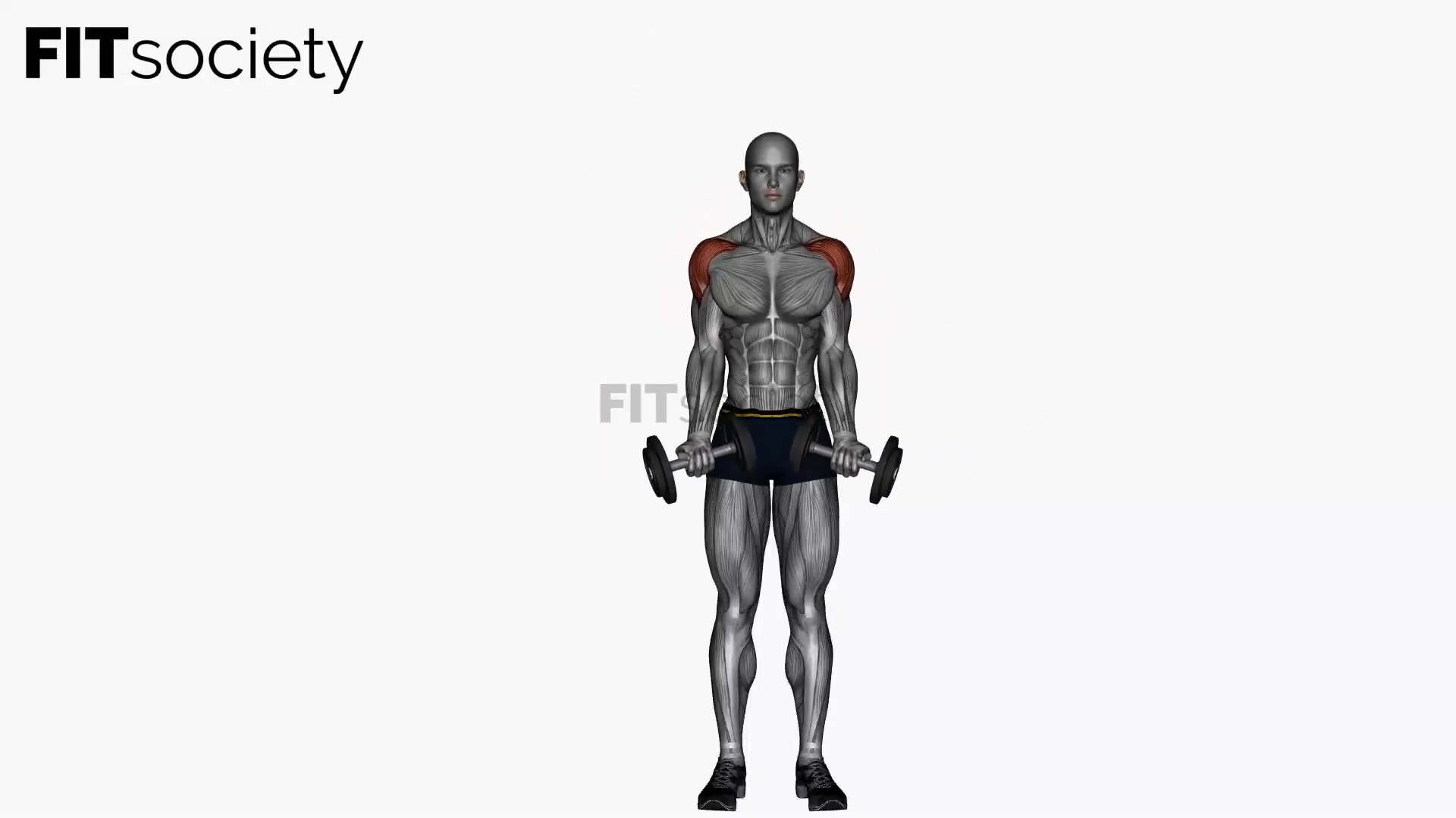 Dumbbell Around The World