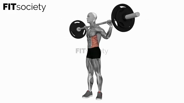 Barbell Standing Twist