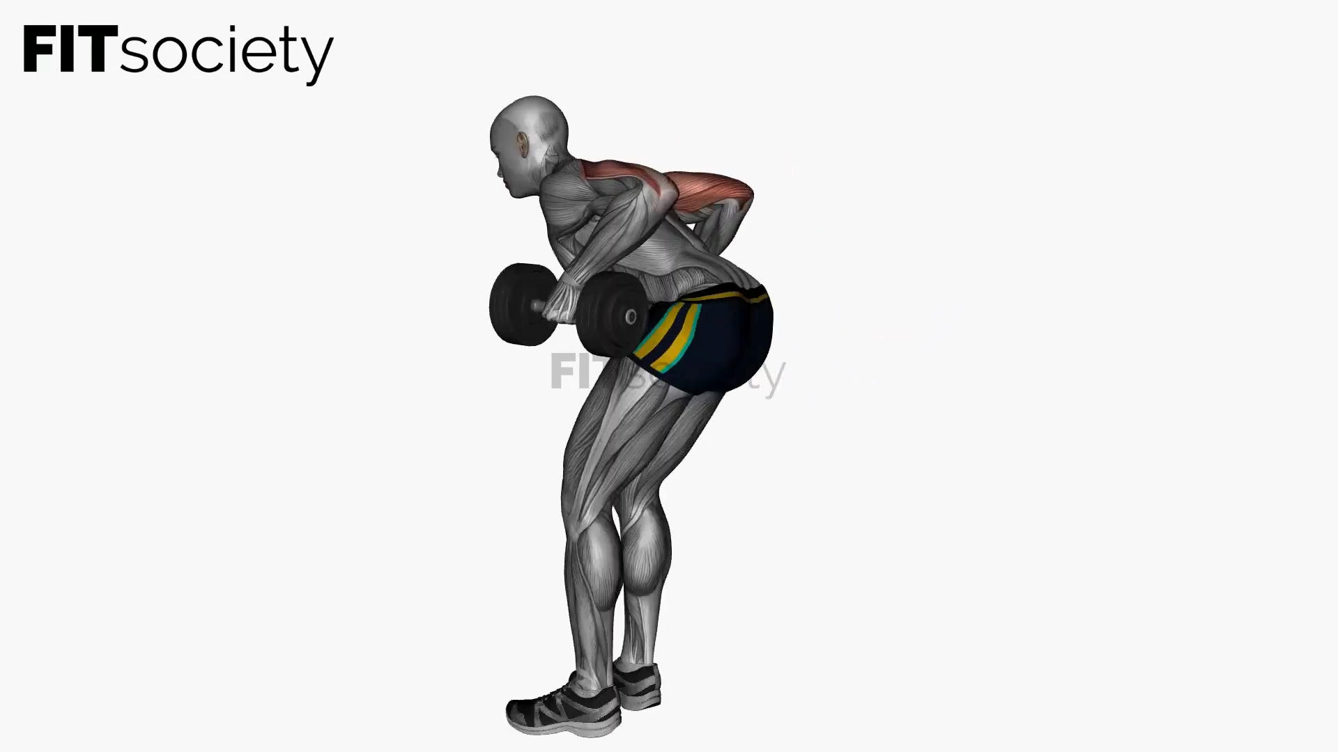 Dumbbells Triceps Kick Back Both Arms