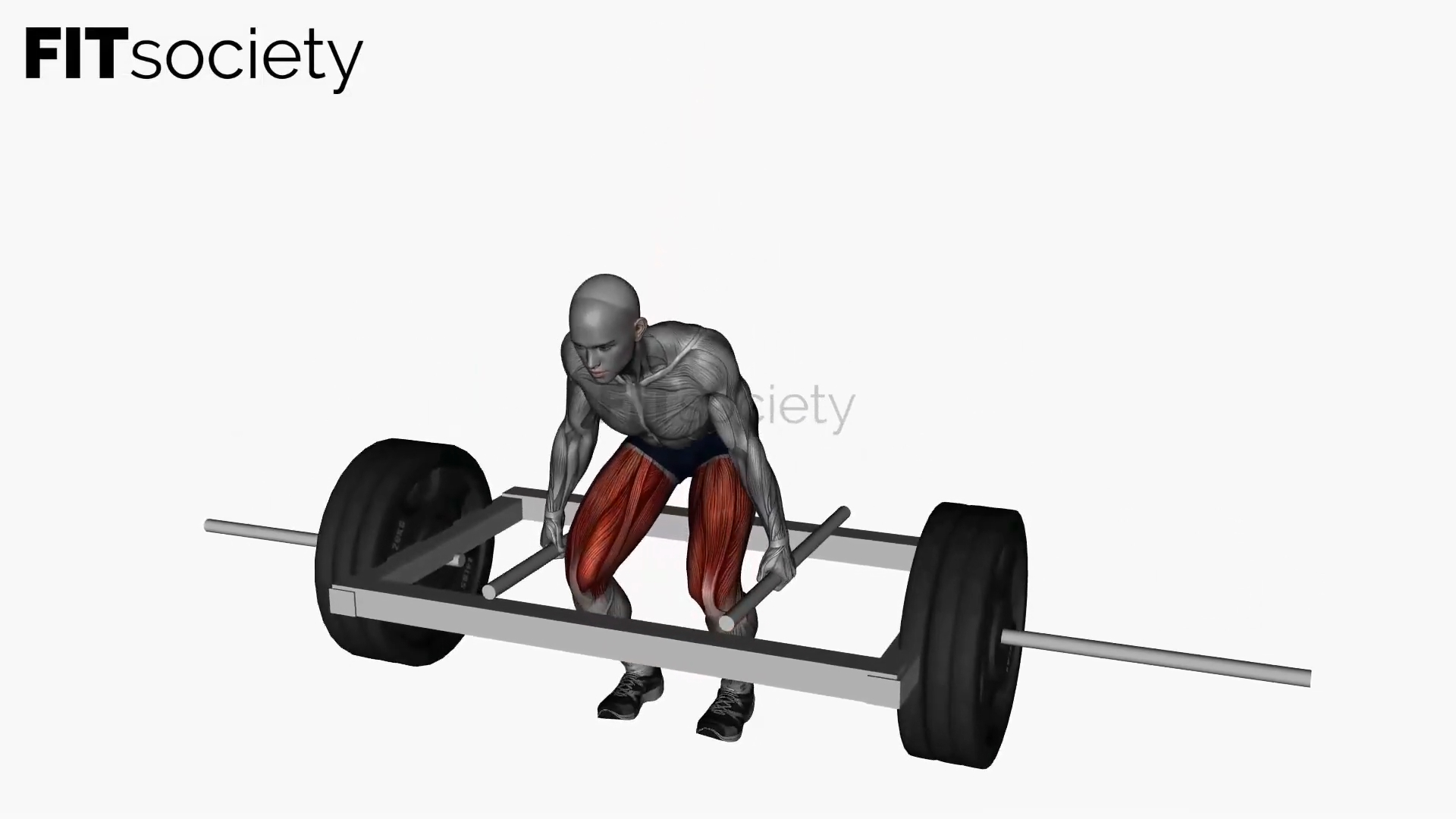 Trap Bar Deadlift