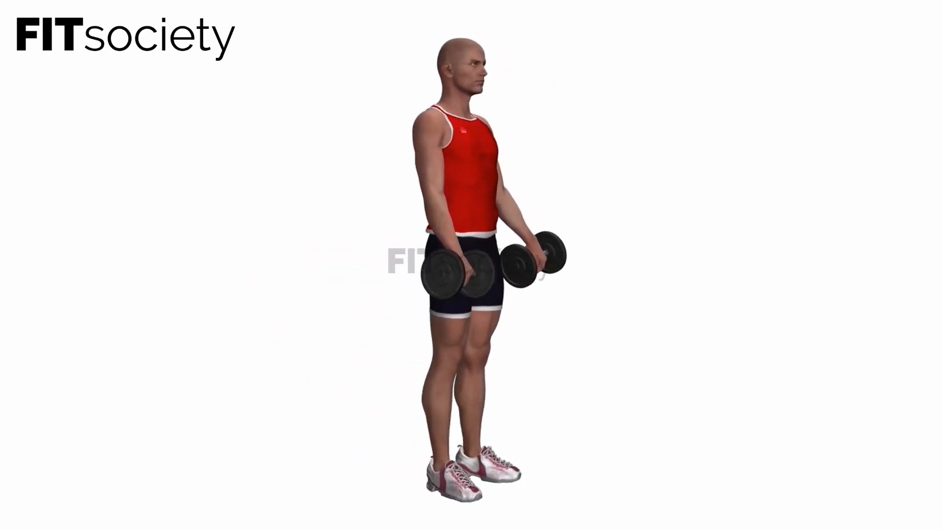 Single-Leg Deadlift V2