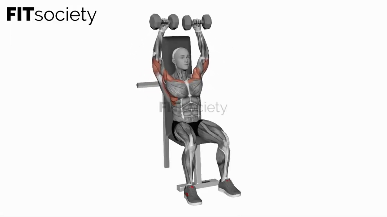 Dumbbell Seated Shoulder Pres
