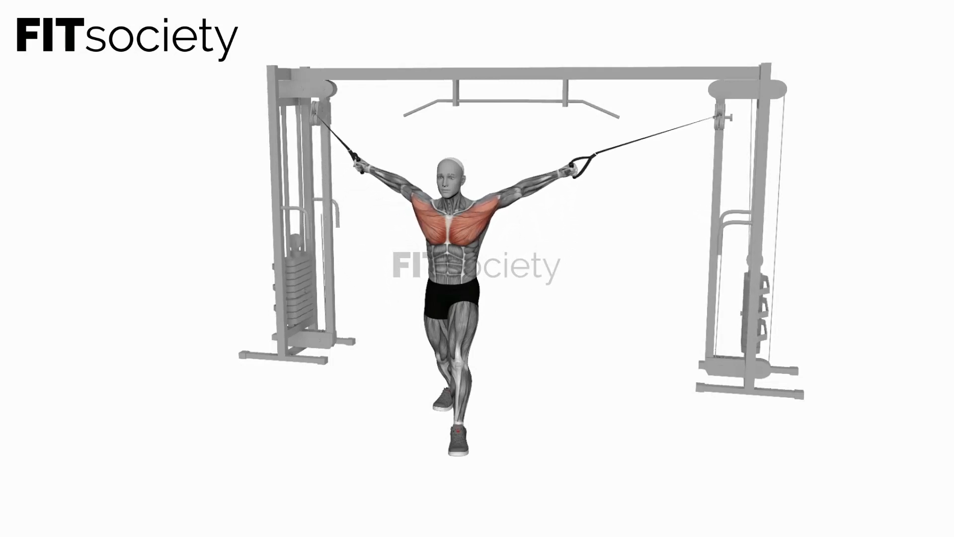 Cable Standing-Up Straight Crossovers