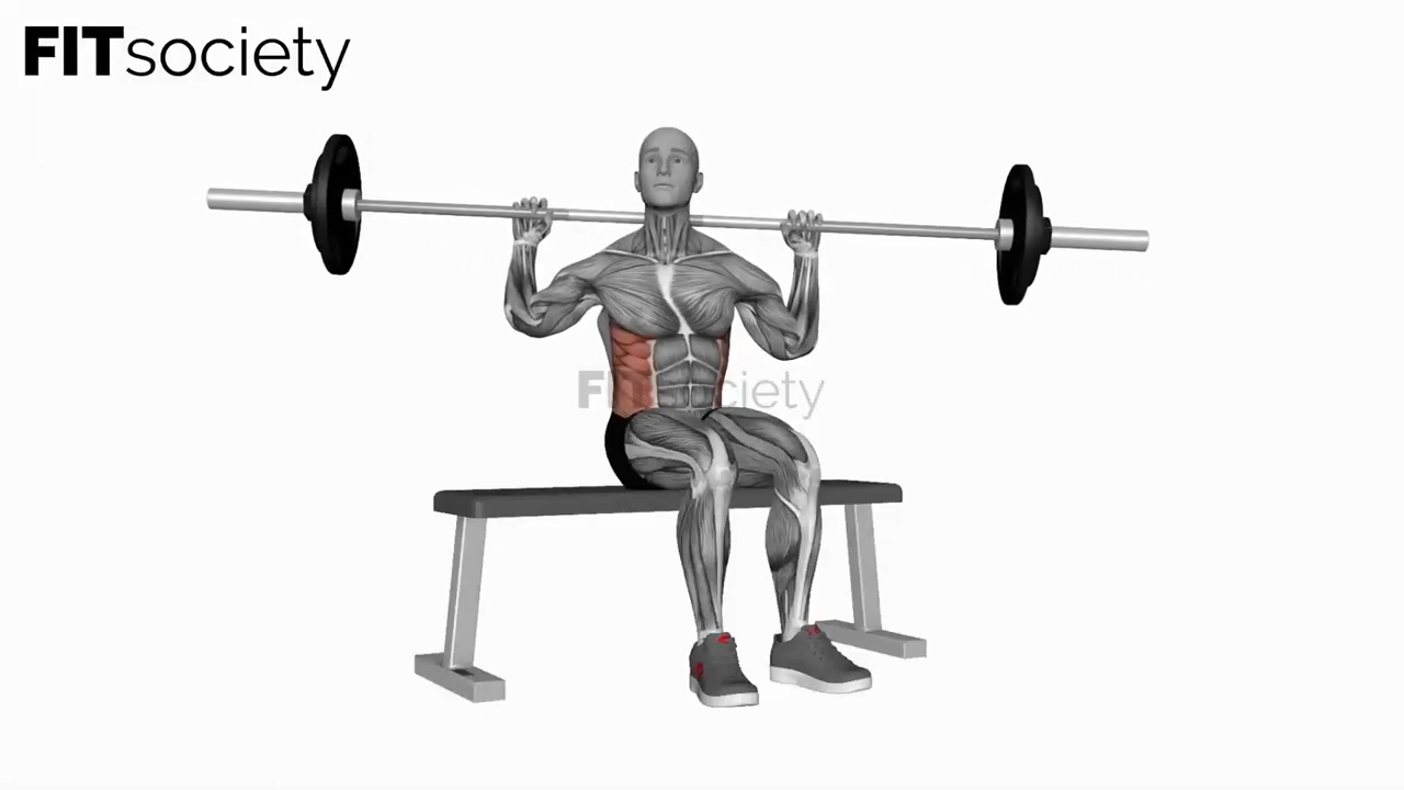 Barbell Seated Twist