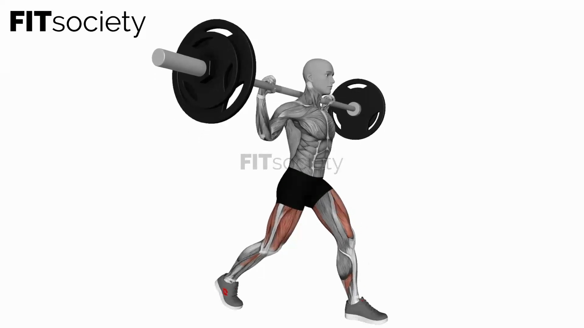 Barbell Split Squat