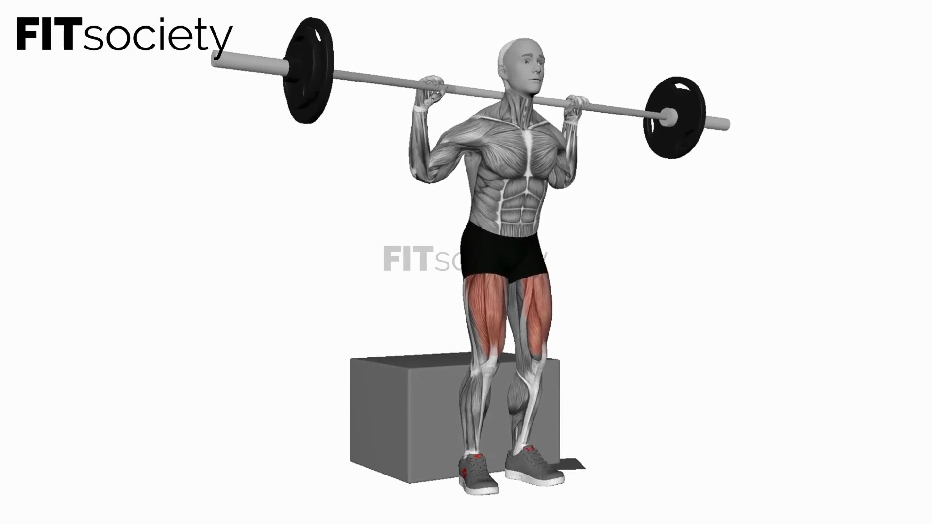 Squat avec barre sur box