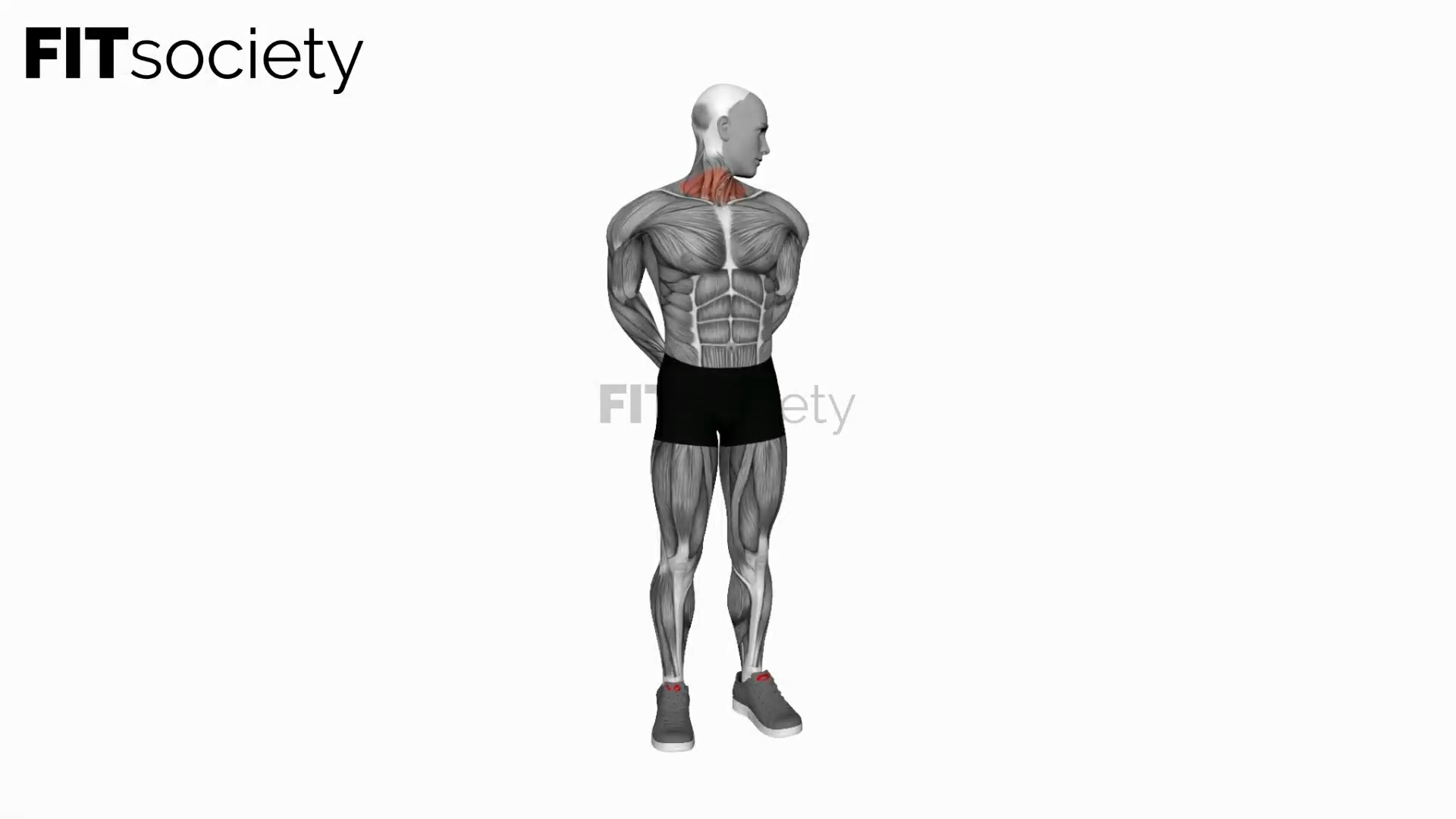 Extension and Inclination Neck Stretch