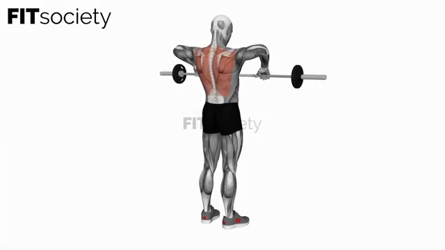 Barbell Upright Row