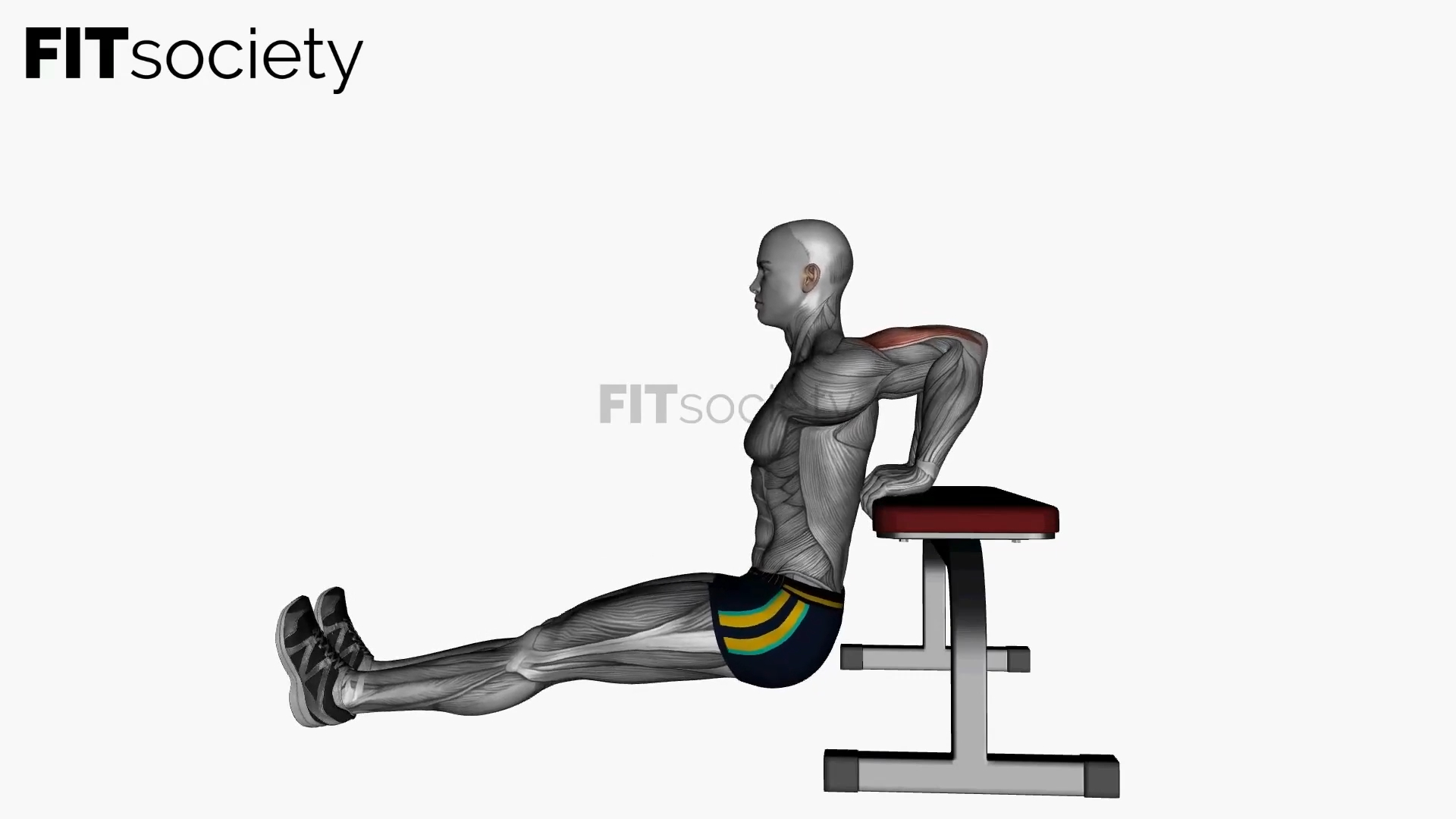 Bench Triceps Dip with Straight Legs