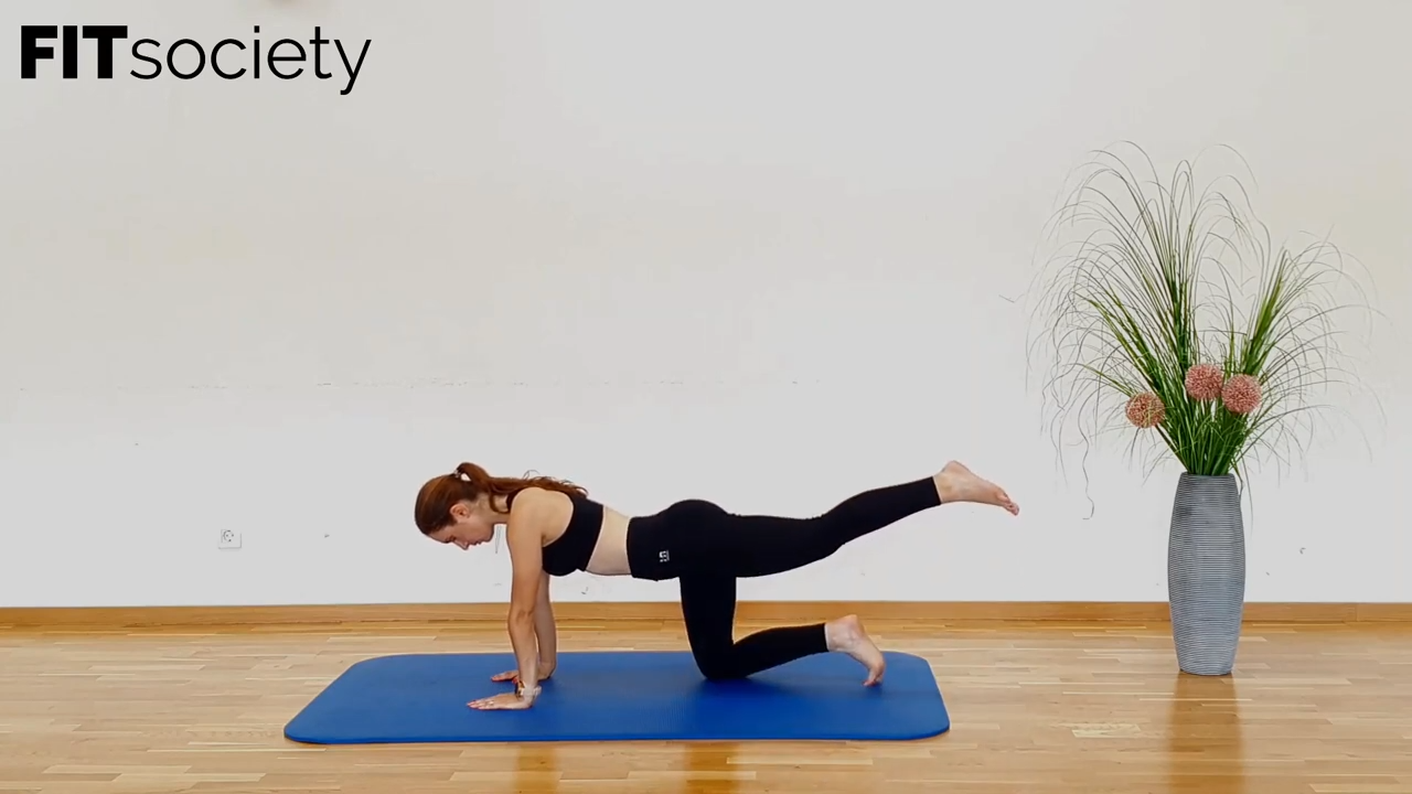 Quadruped Leg Extension