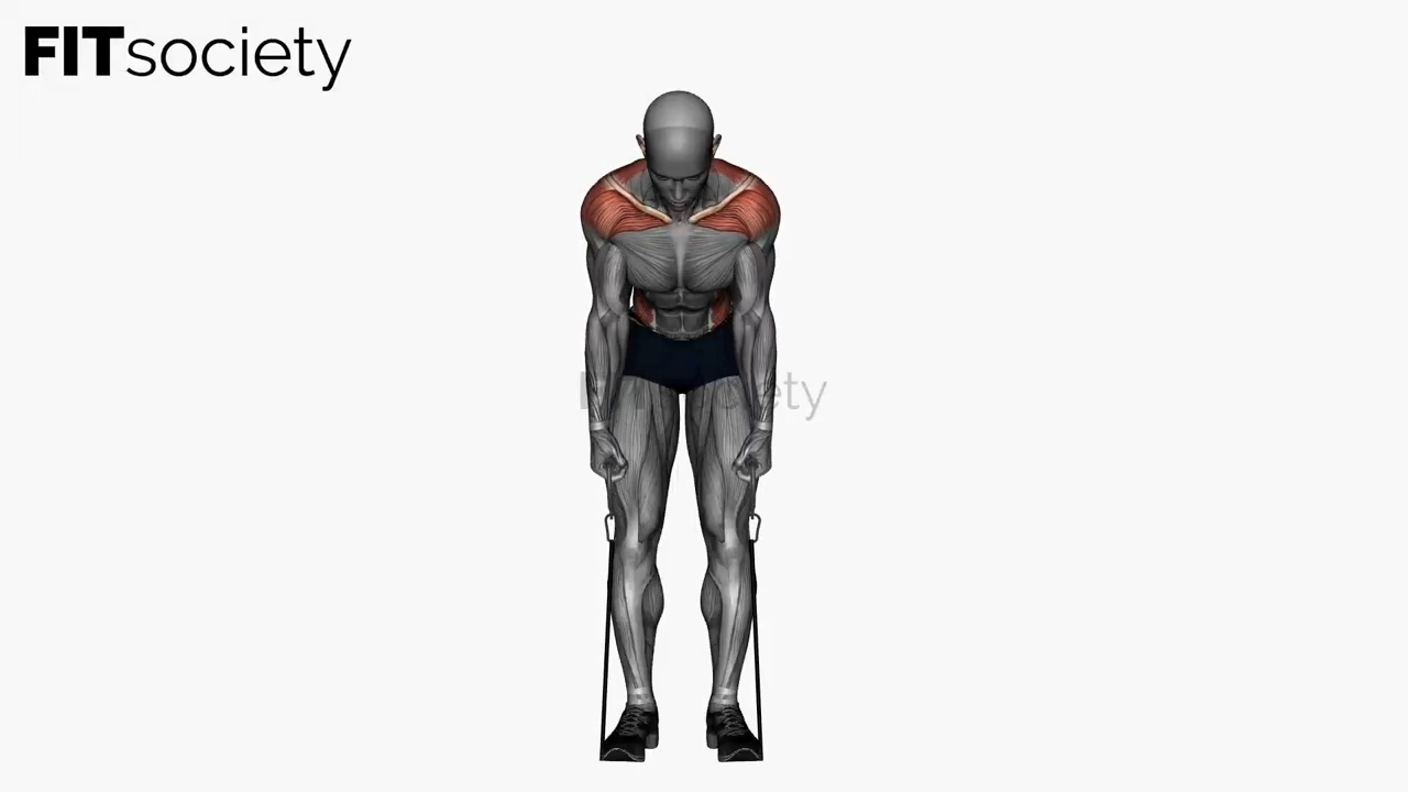 Bent-Over Resistance Band Row
