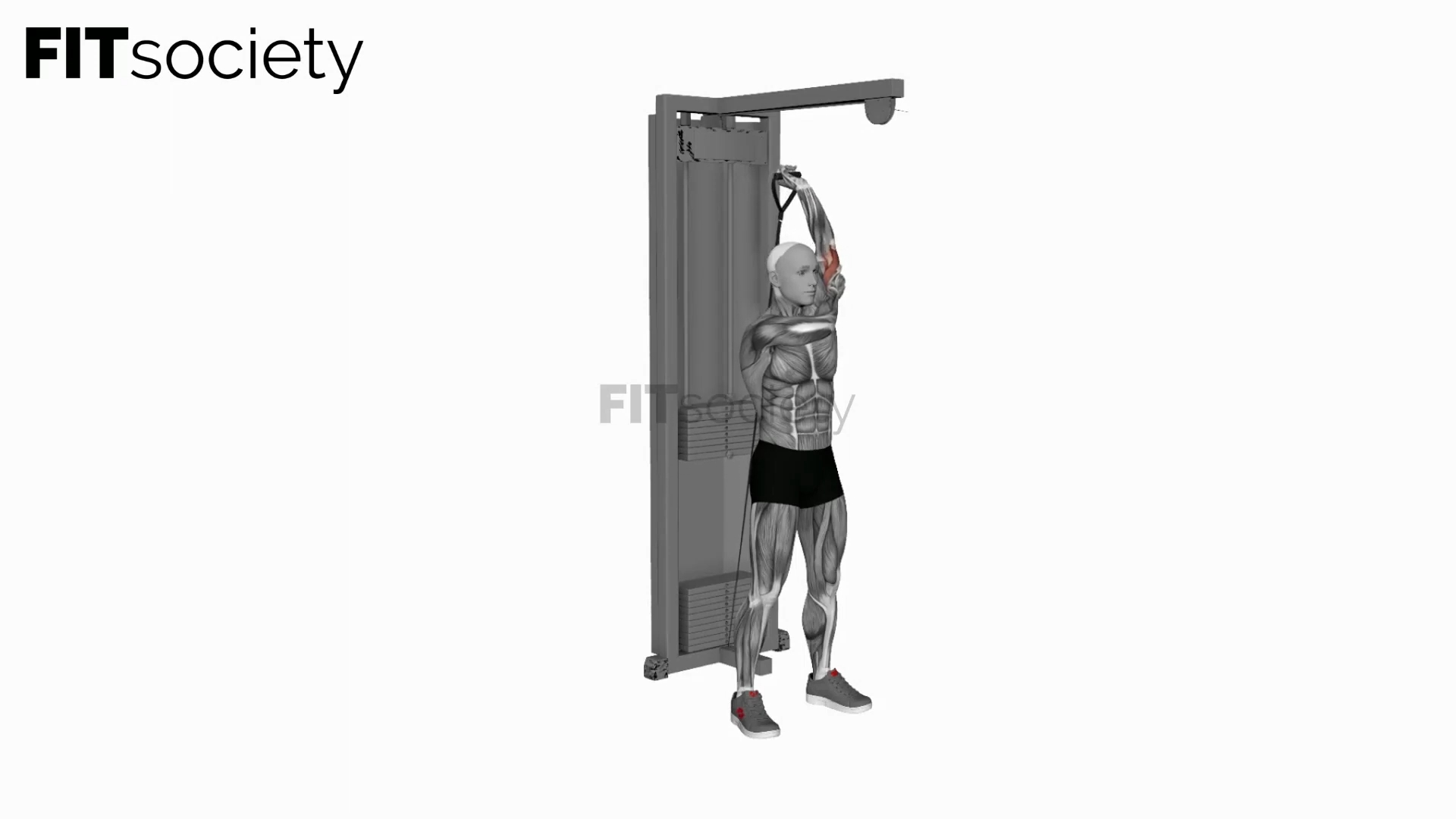 Cable Alternate Triceps Extension