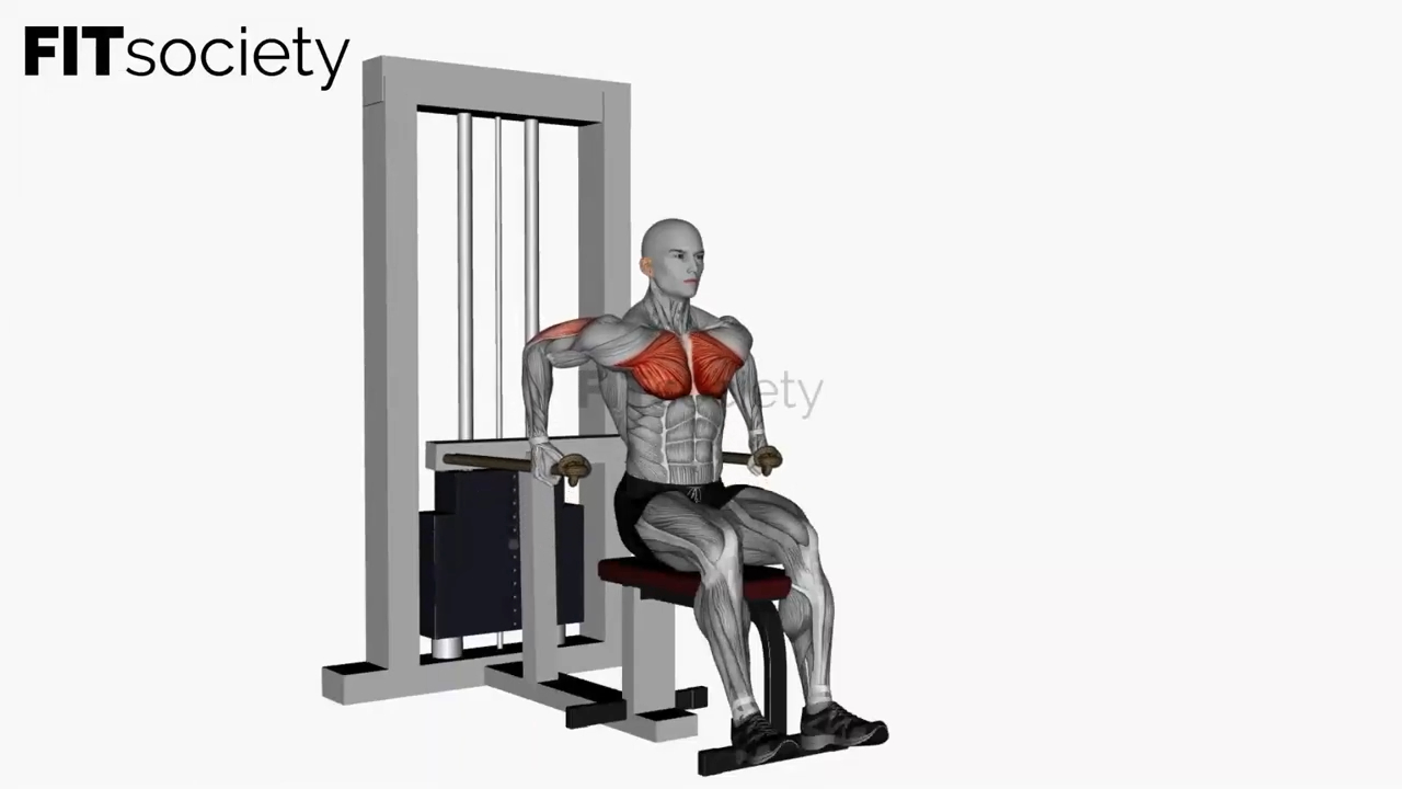 Machine à dips pour les pectoraux