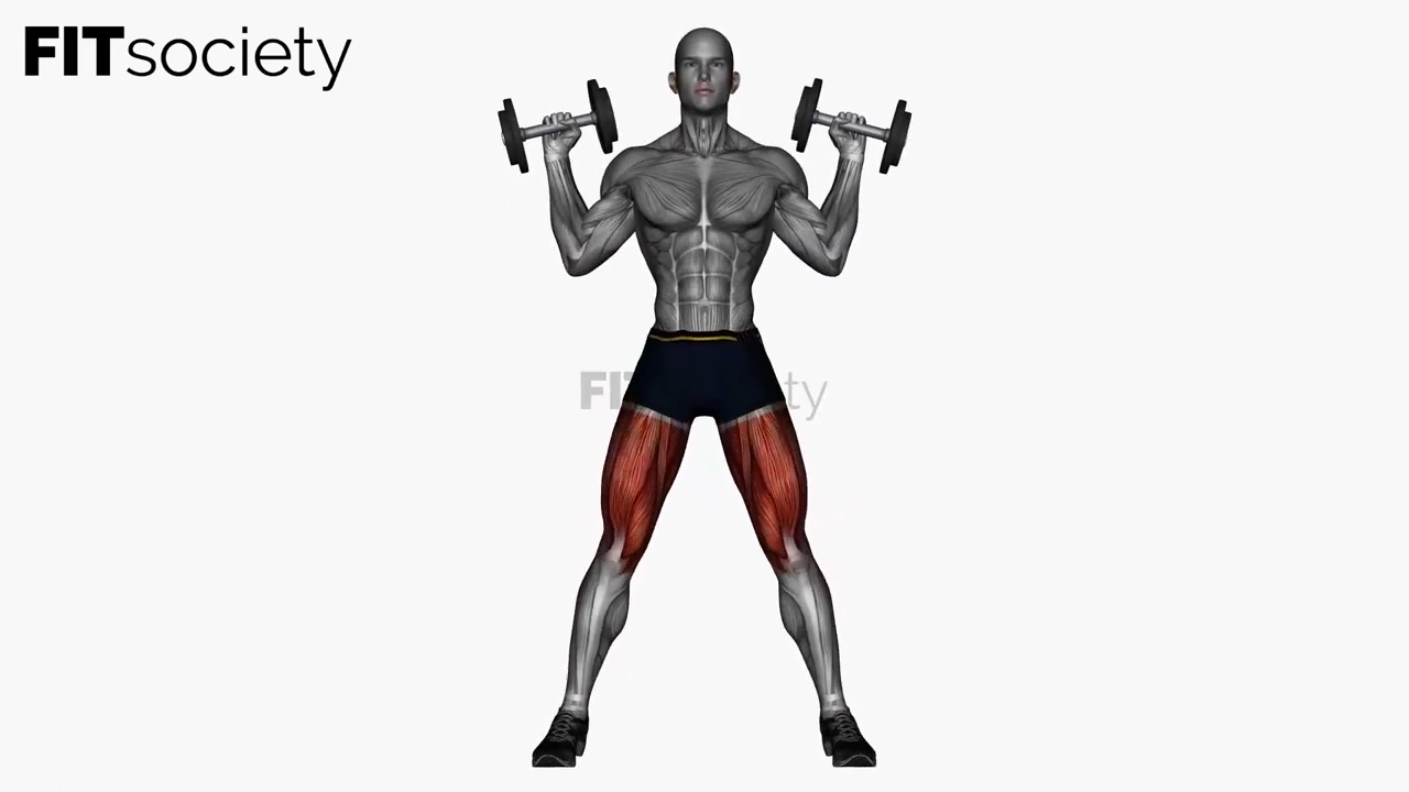 Front Squat avec haltères sur les épaules