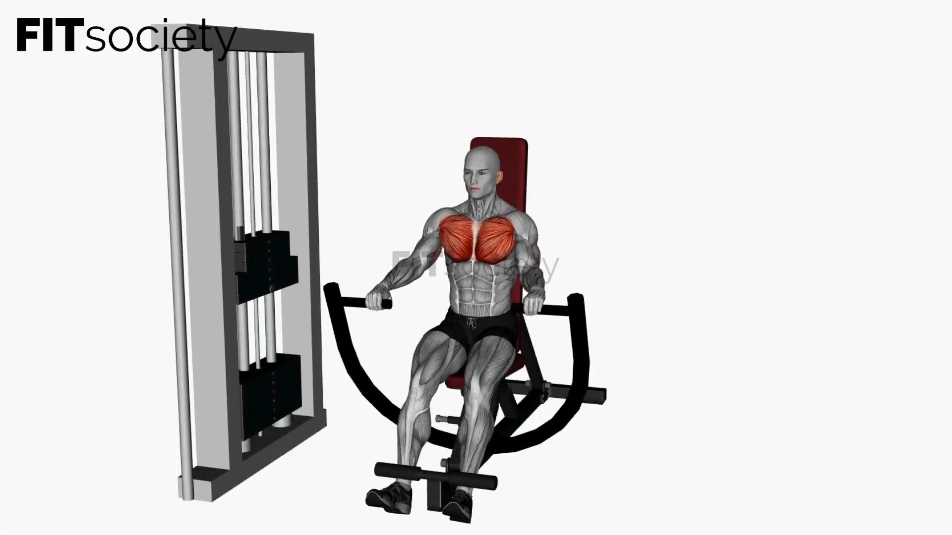 Decline Machine Chest Press