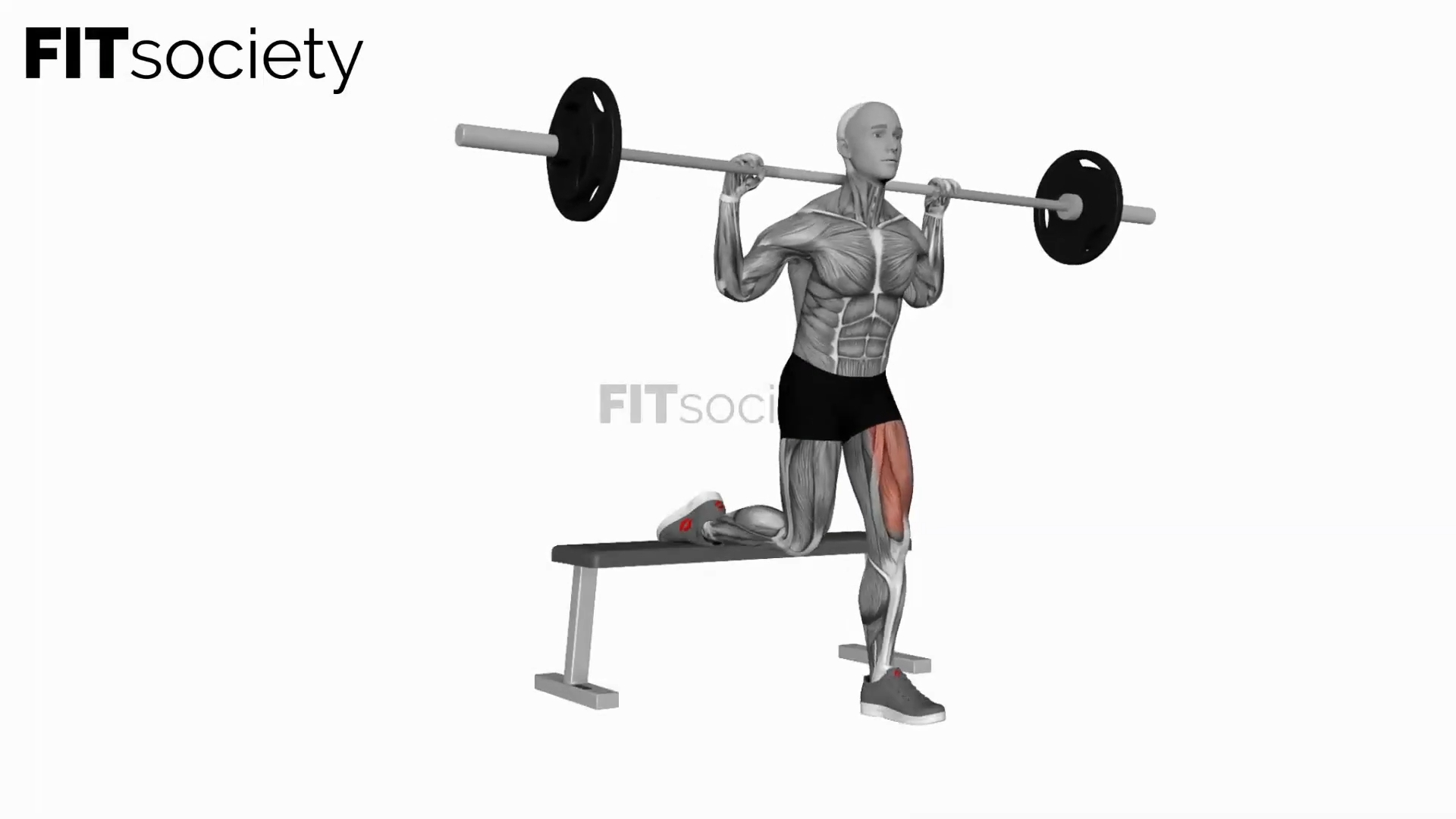 Bulgarischer Split Squat mit Langhantel