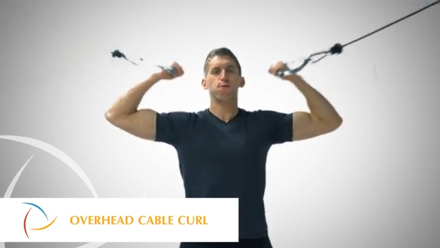 Curl de bíceps por encima de la cabeza en polea