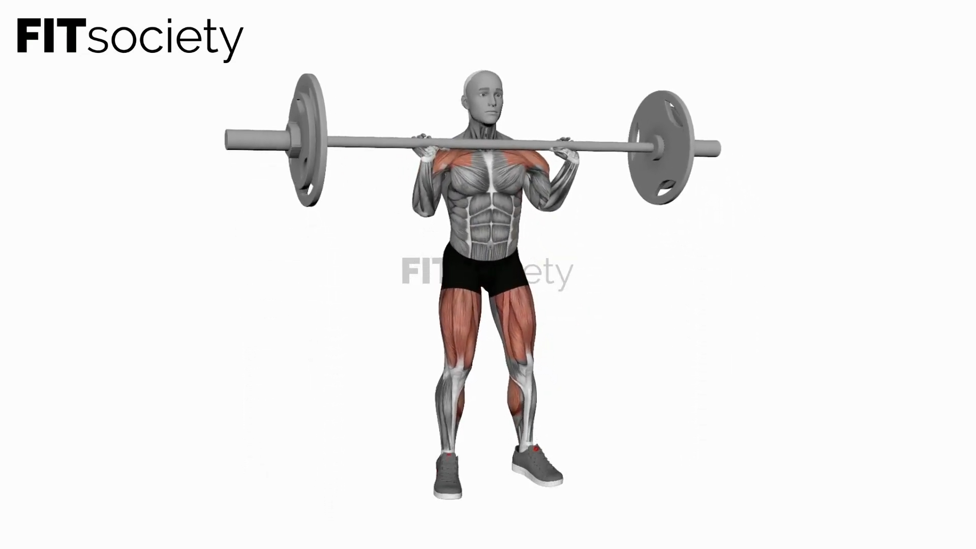 Barbell Muscle Clean