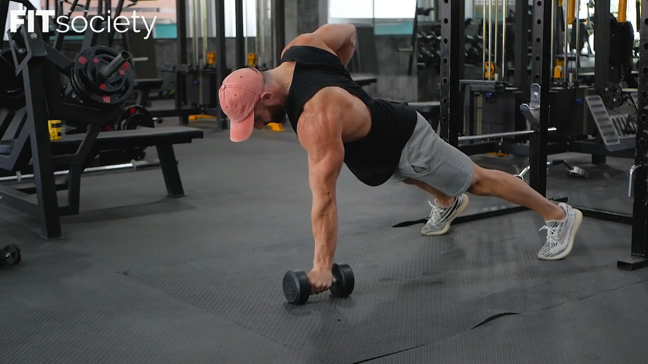 Dumbbell Renegade Row