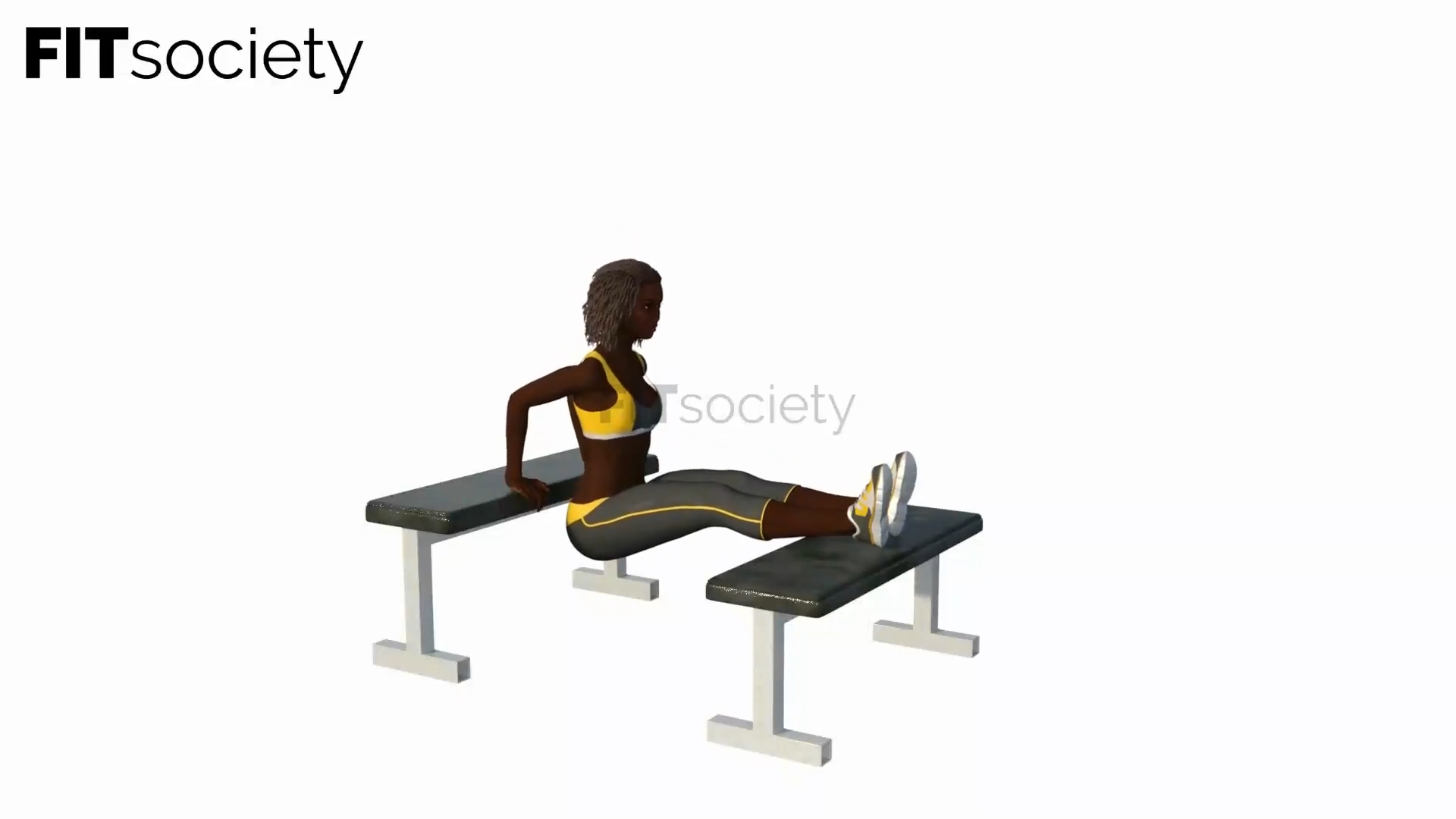 Double Bench Tricep Dips