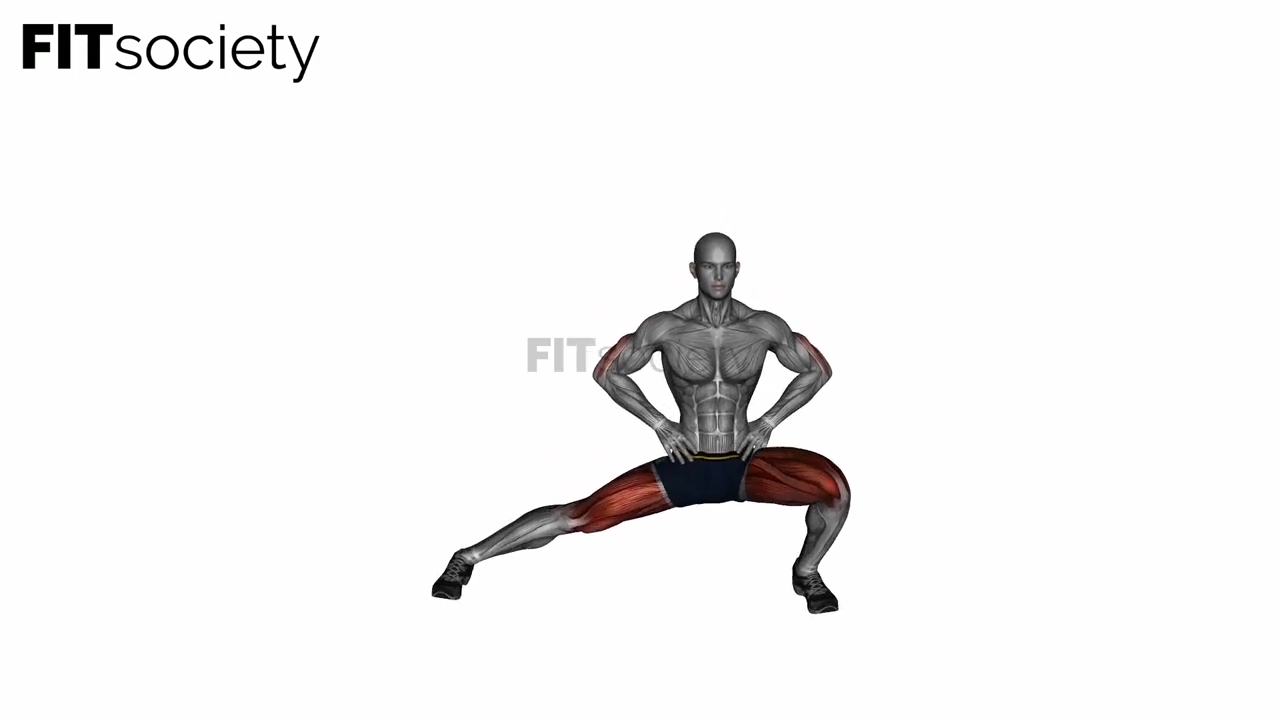 Standing Adductor Stretch