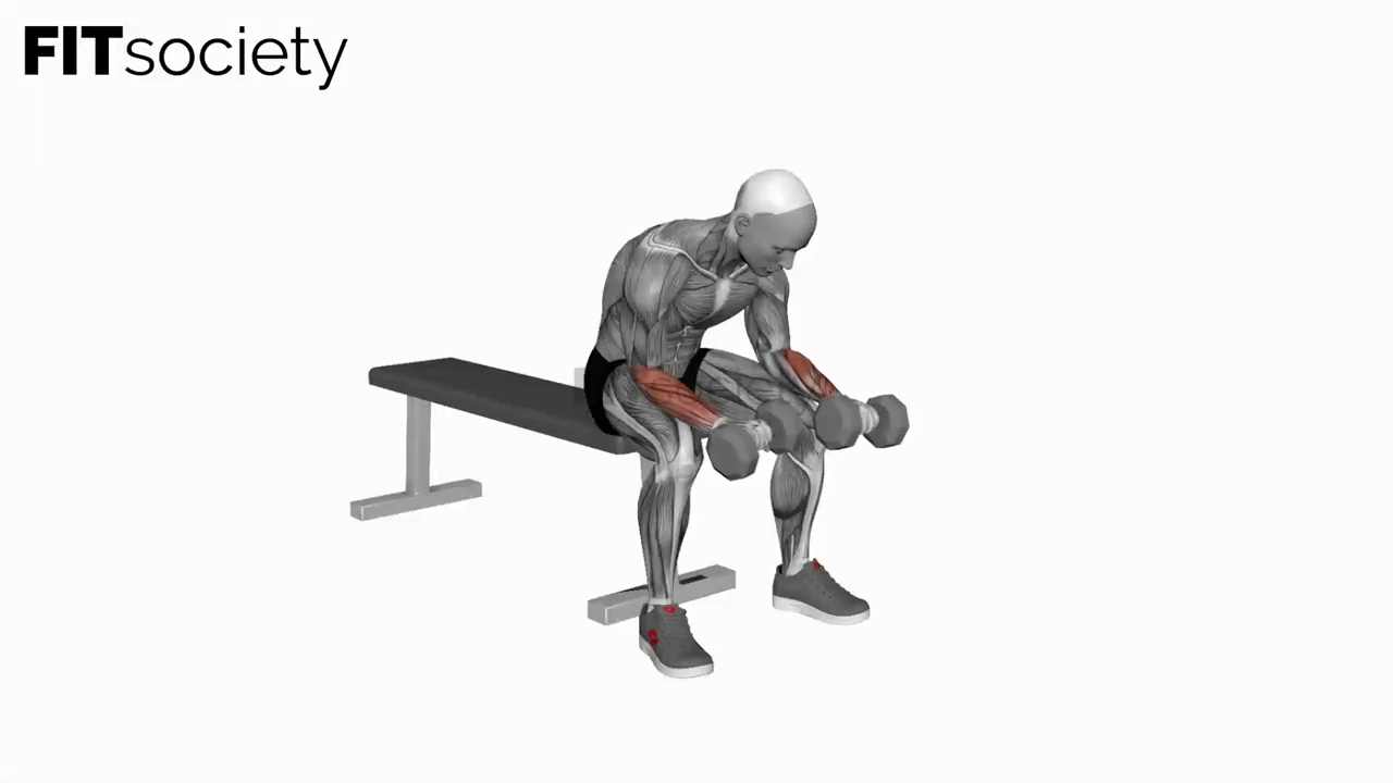 Dumbbell Reverse Wrist Curl