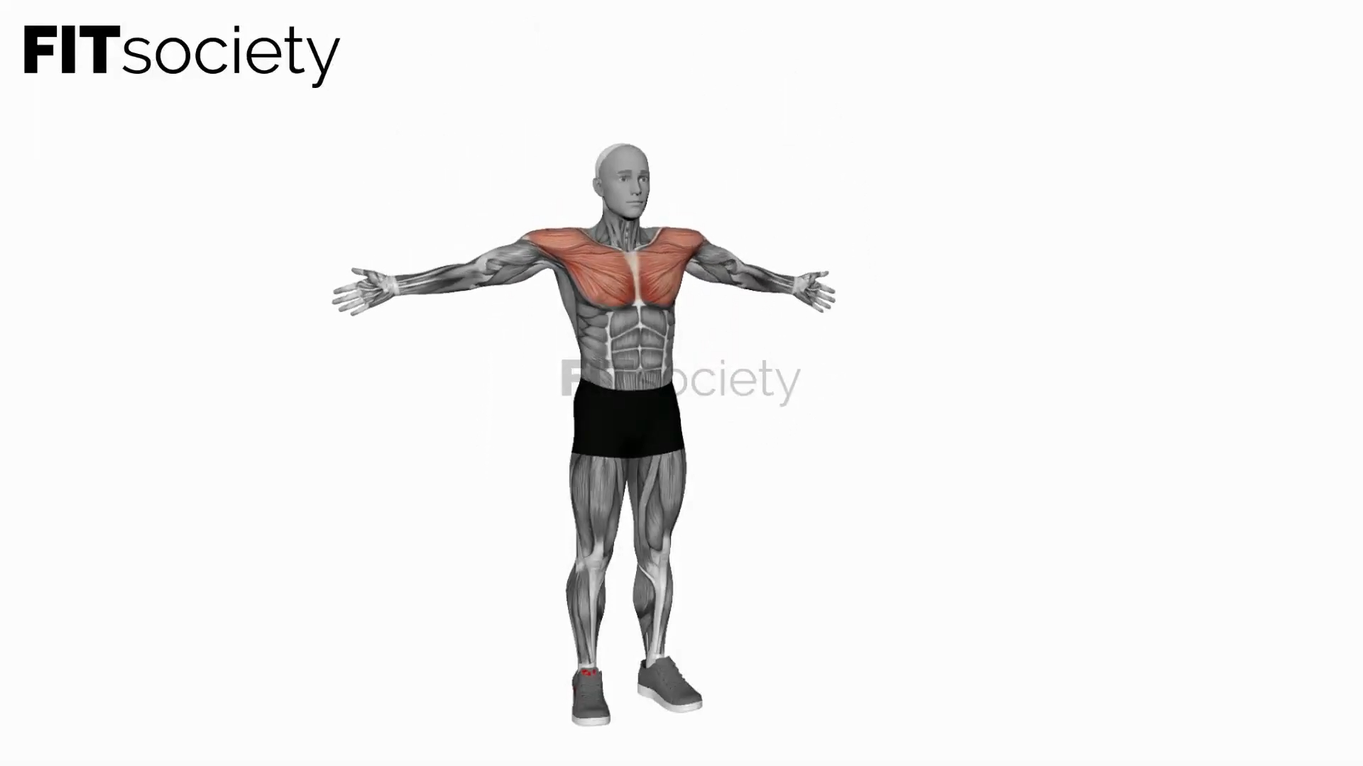 Arm Circles