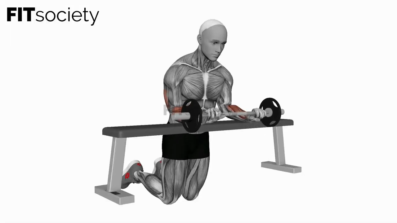 Wrist Extension Barbell