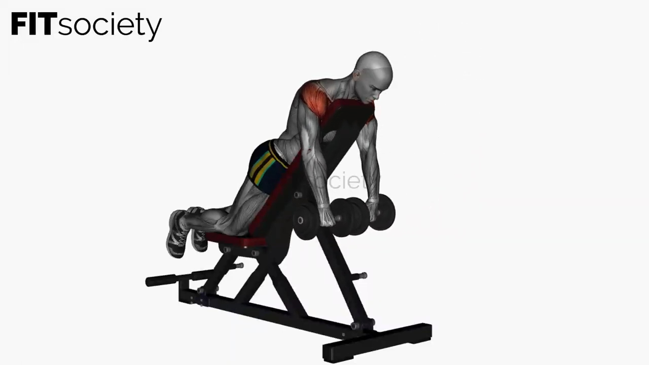 Dumbbell Prone Front Raises on Bench