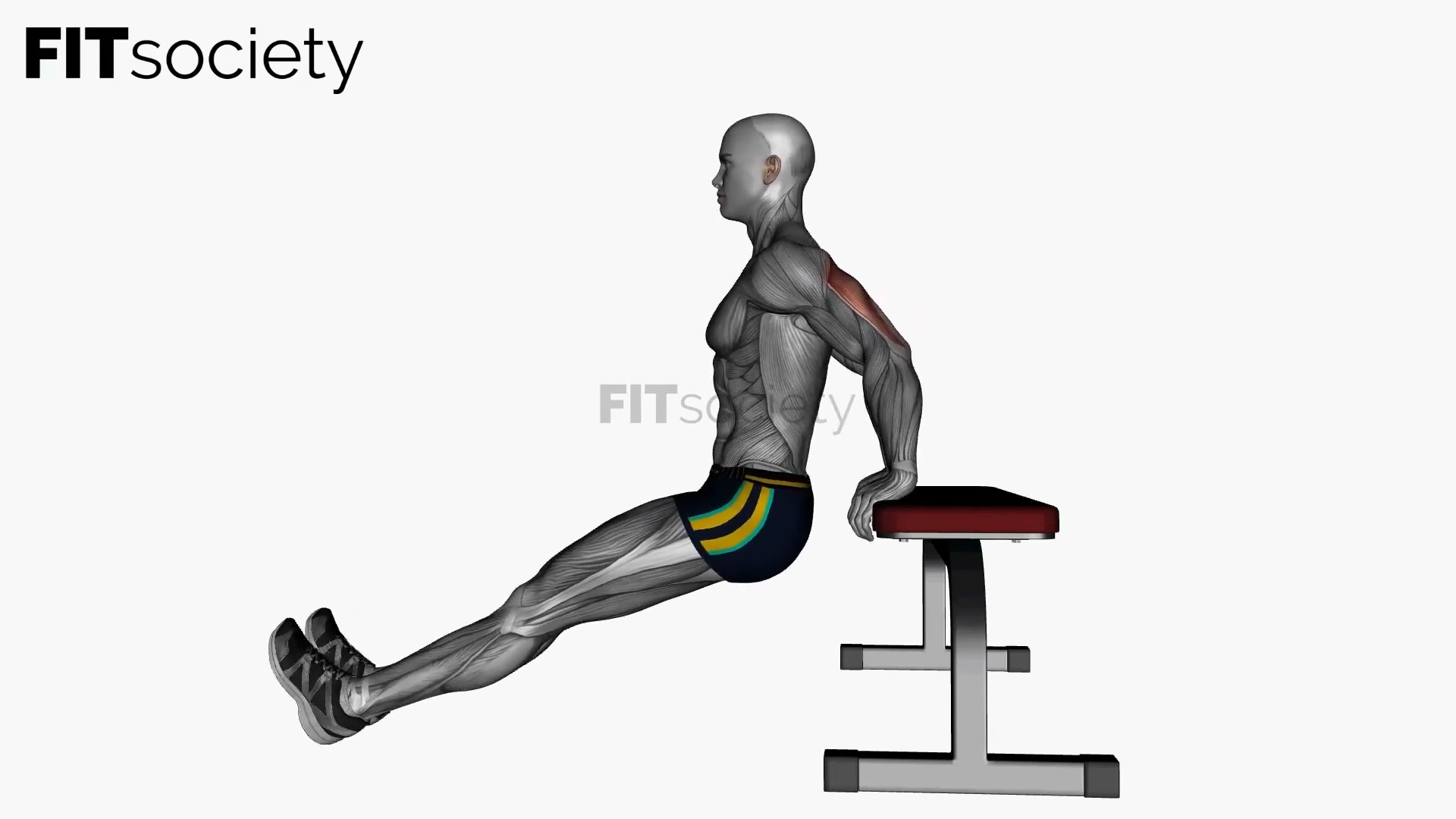 Bench Triceps Dip with Straight Legs