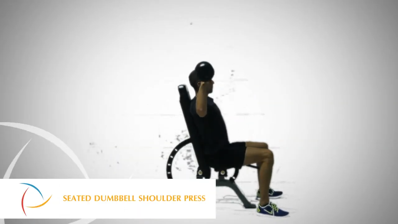 Seated Dumbbell Shoulder Press