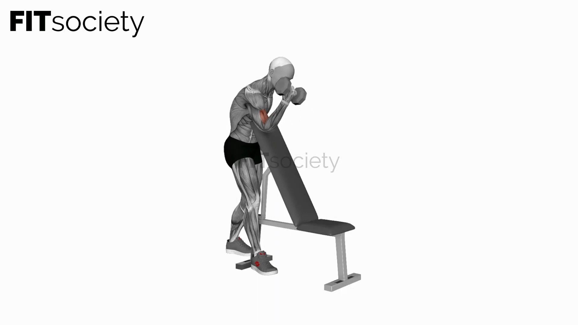 Dumbbell One Arm Zottman Preacher Curl