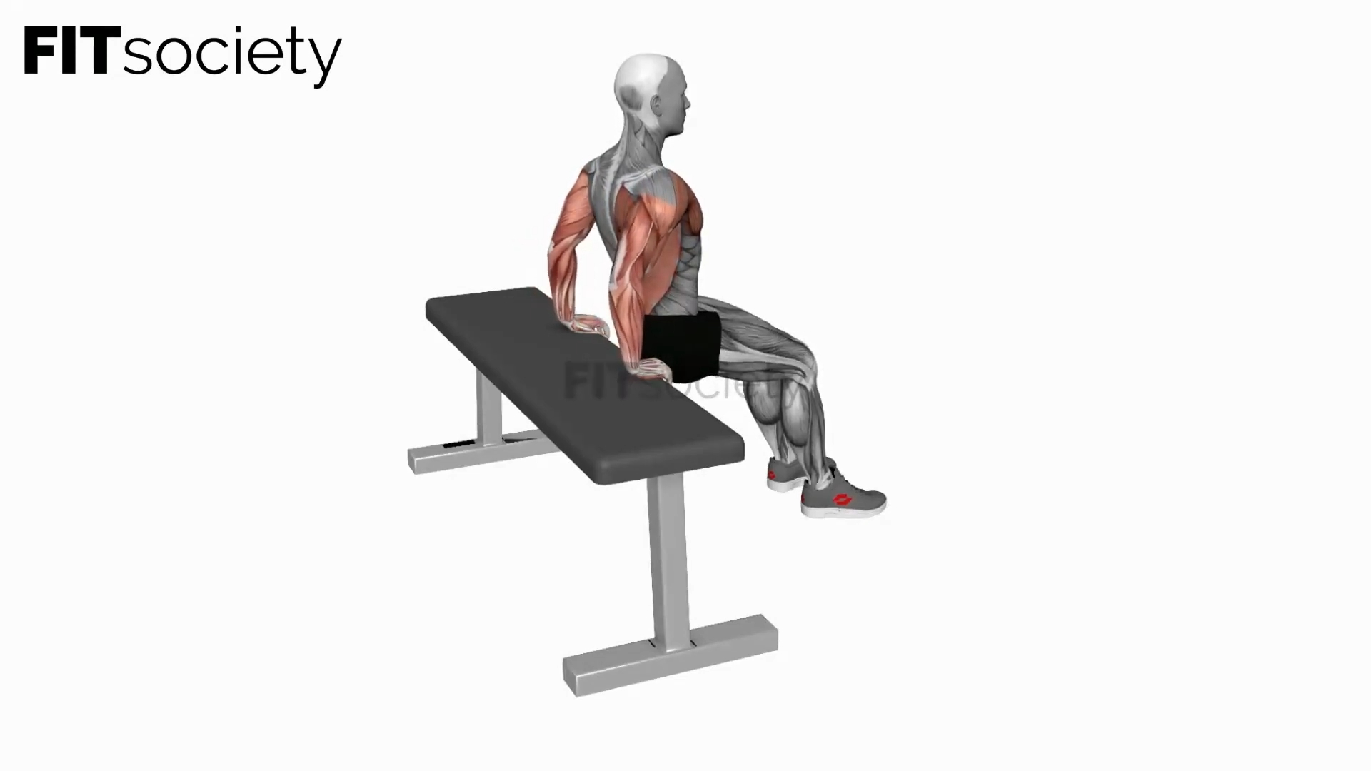 Bench Dip (Knees Bent)