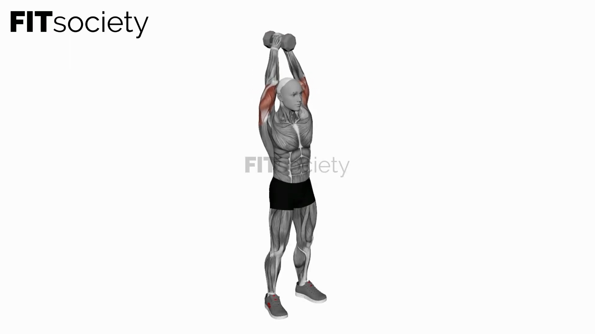 Dumbbell Standing Triceps Extension